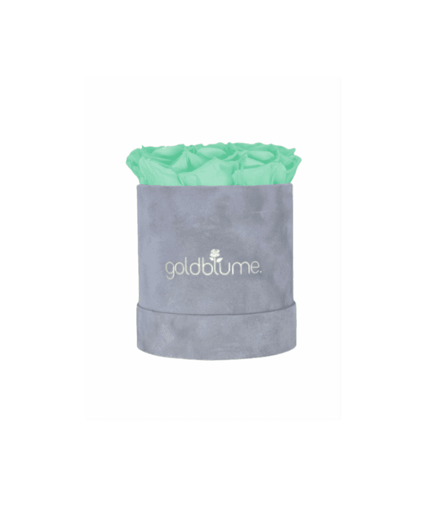 Velvet Grey Collection - Goldblume