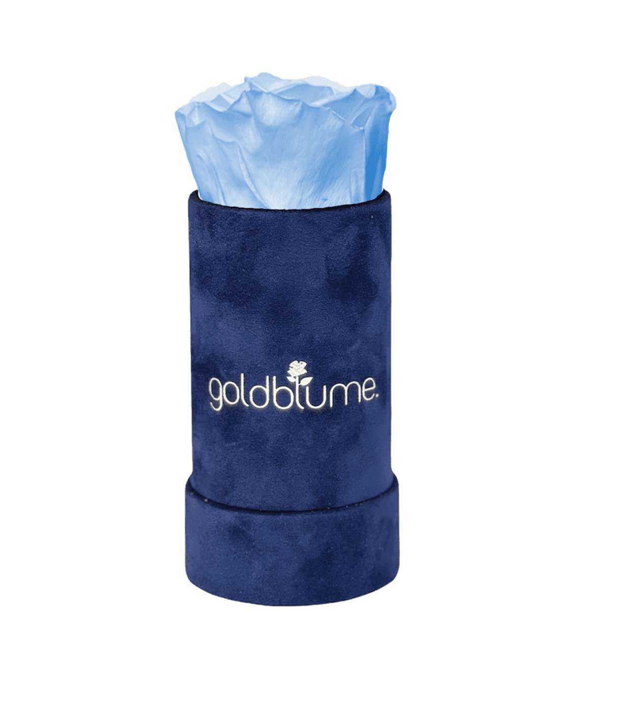 Velvet Royal Collection - Goldblume