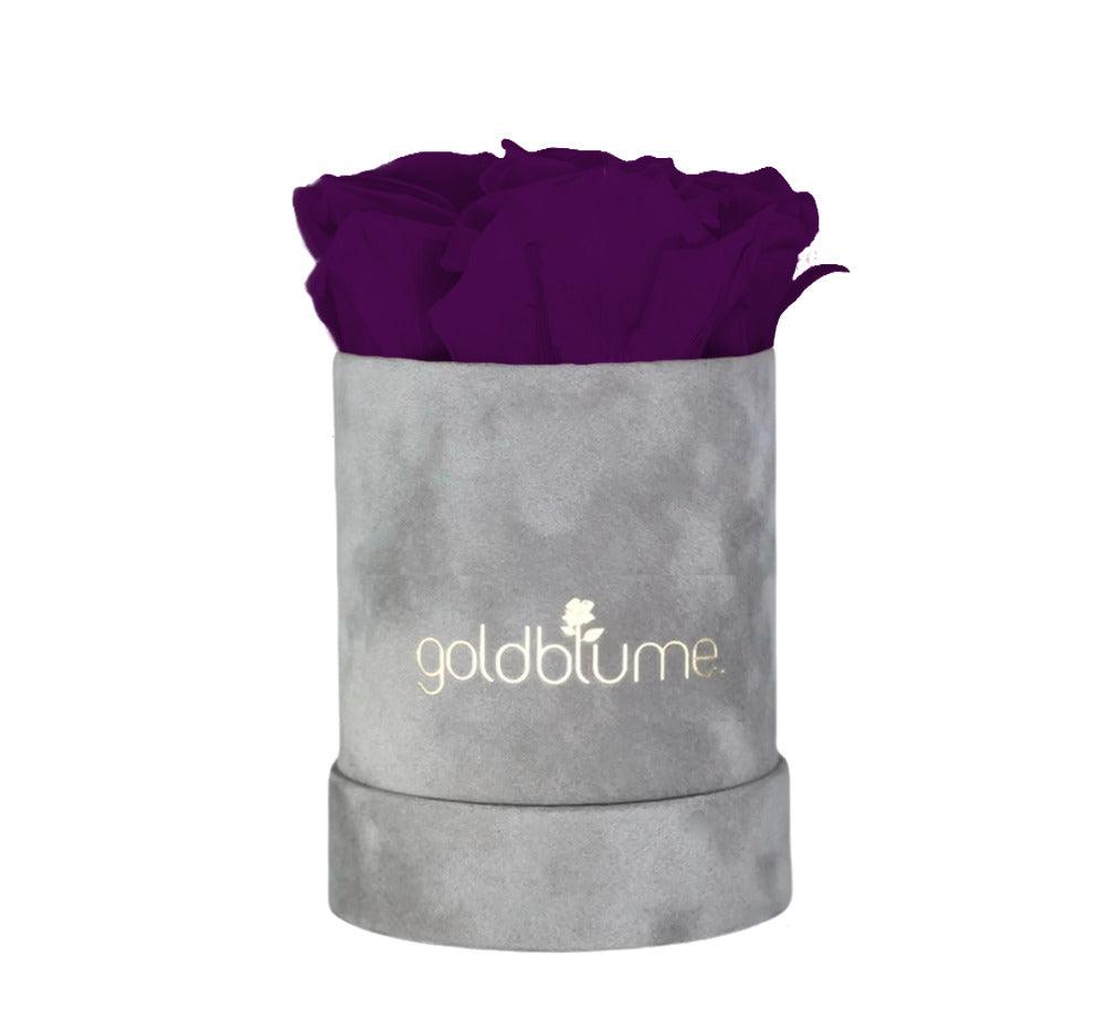 Velvet Grey Collection - Goldblume