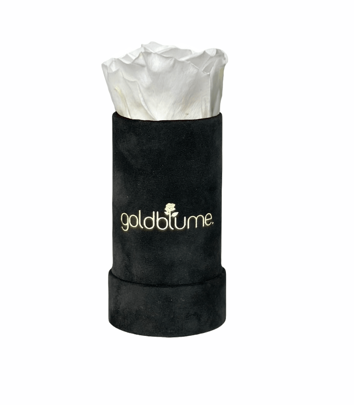 Velvet Black Collection - Goldblume