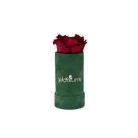 Velvet Green Collection - Goldblume
