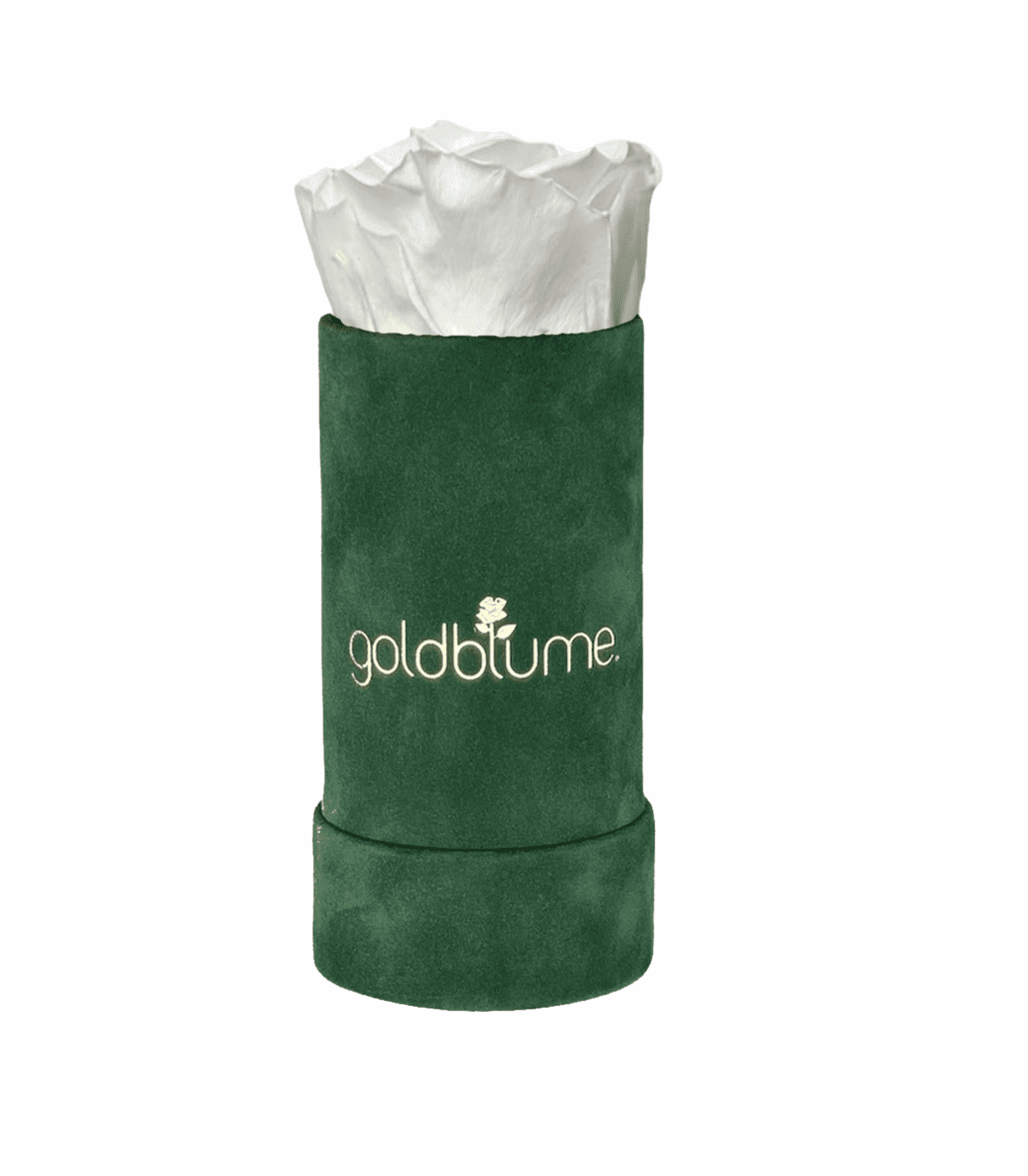 Velvet Green Collection - Goldblume