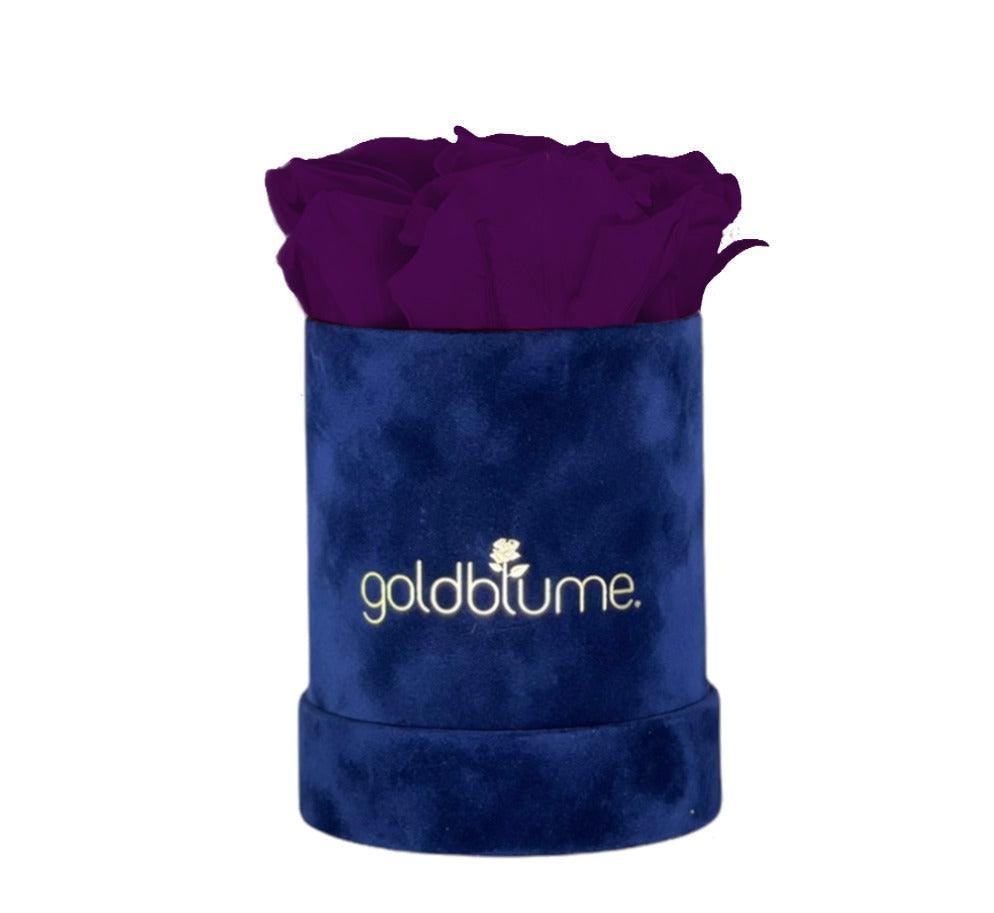Velvet Royal Collection - Goldblume