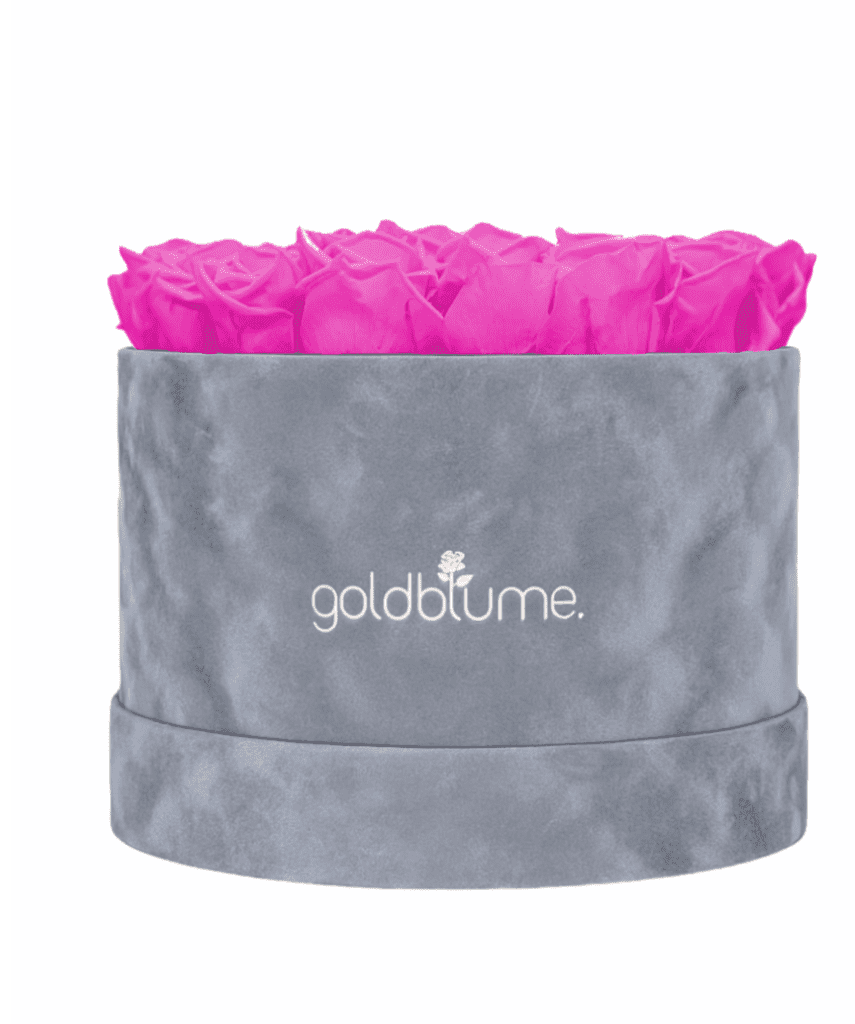 Velvet Grey Collection - Goldblume