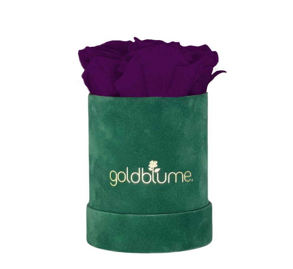 Velvet Green Collection - Goldblume