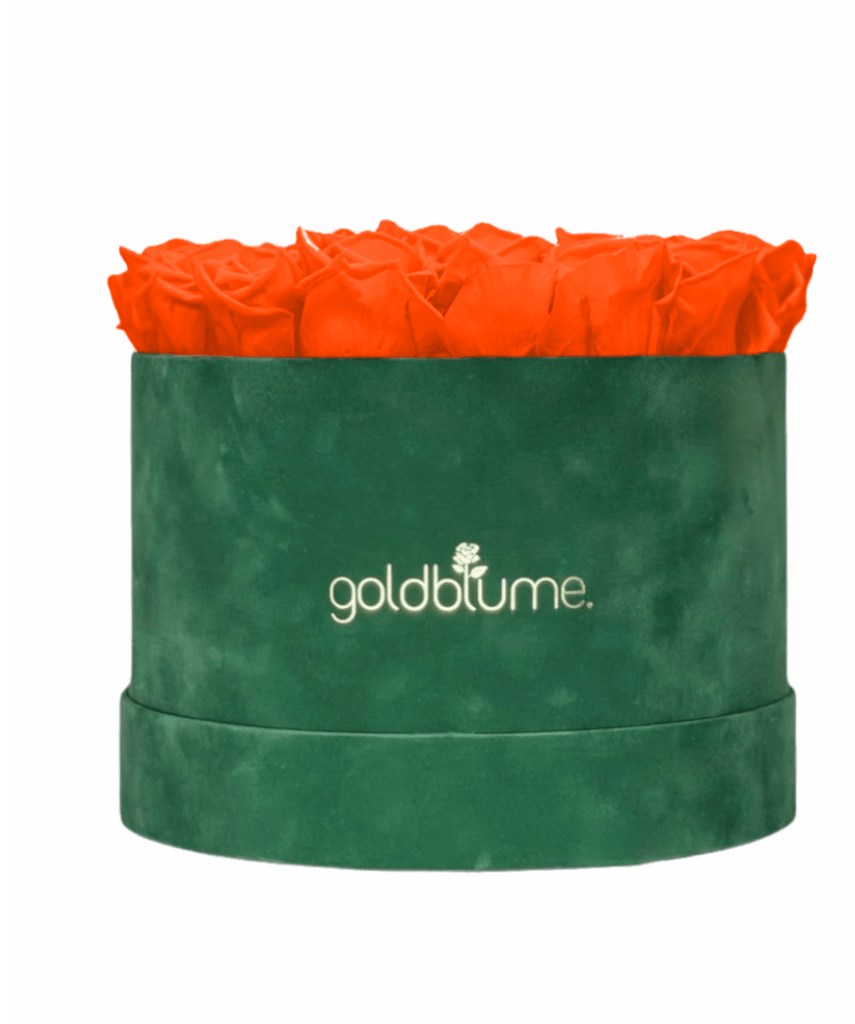 Velvet Green Collection - Goldblume