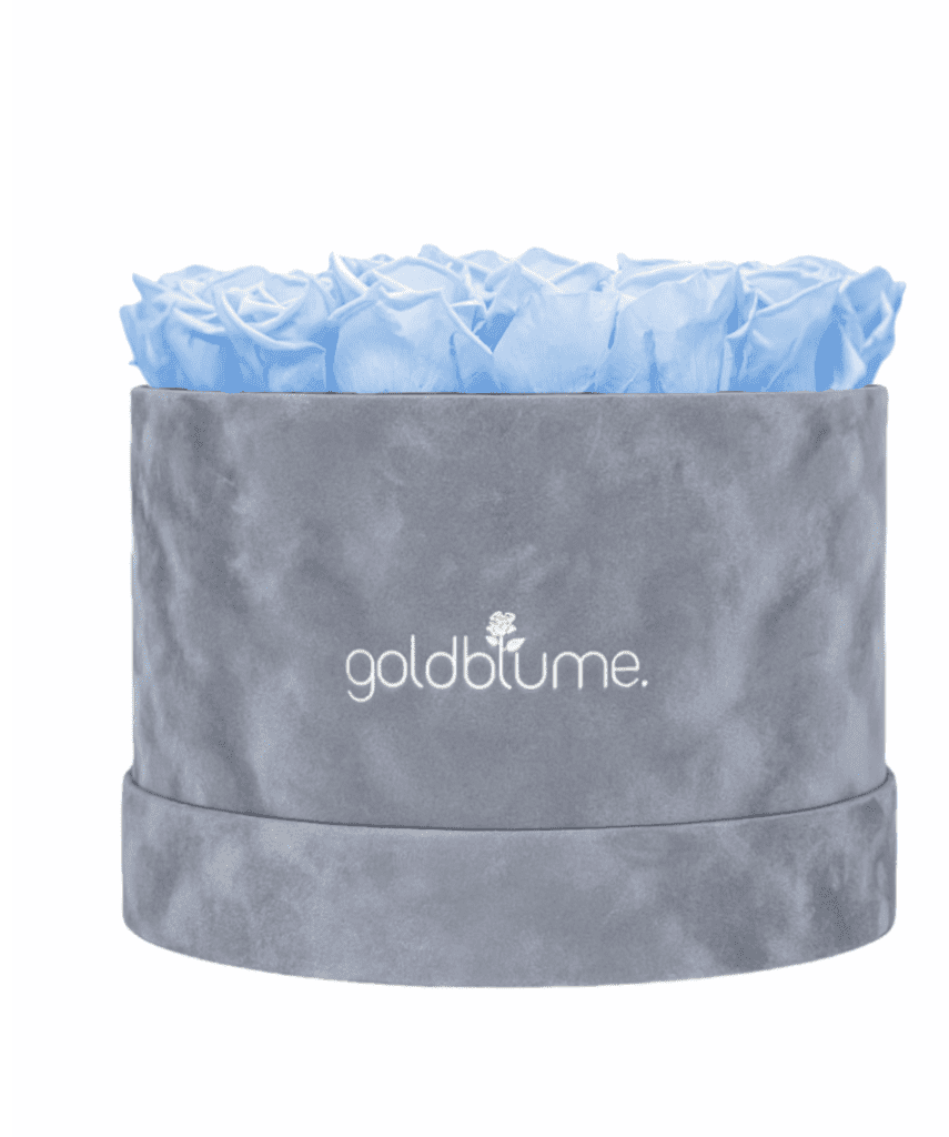 Velvet Grey Collection - Goldblume