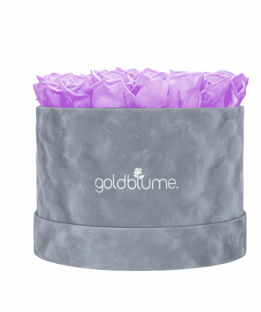 Velvet Grey Collection - Goldblume