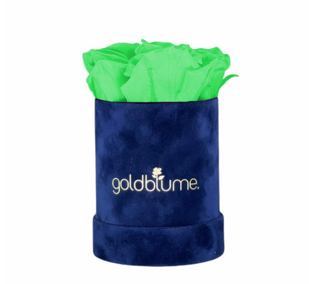 Velvet Royal Collection - Goldblume