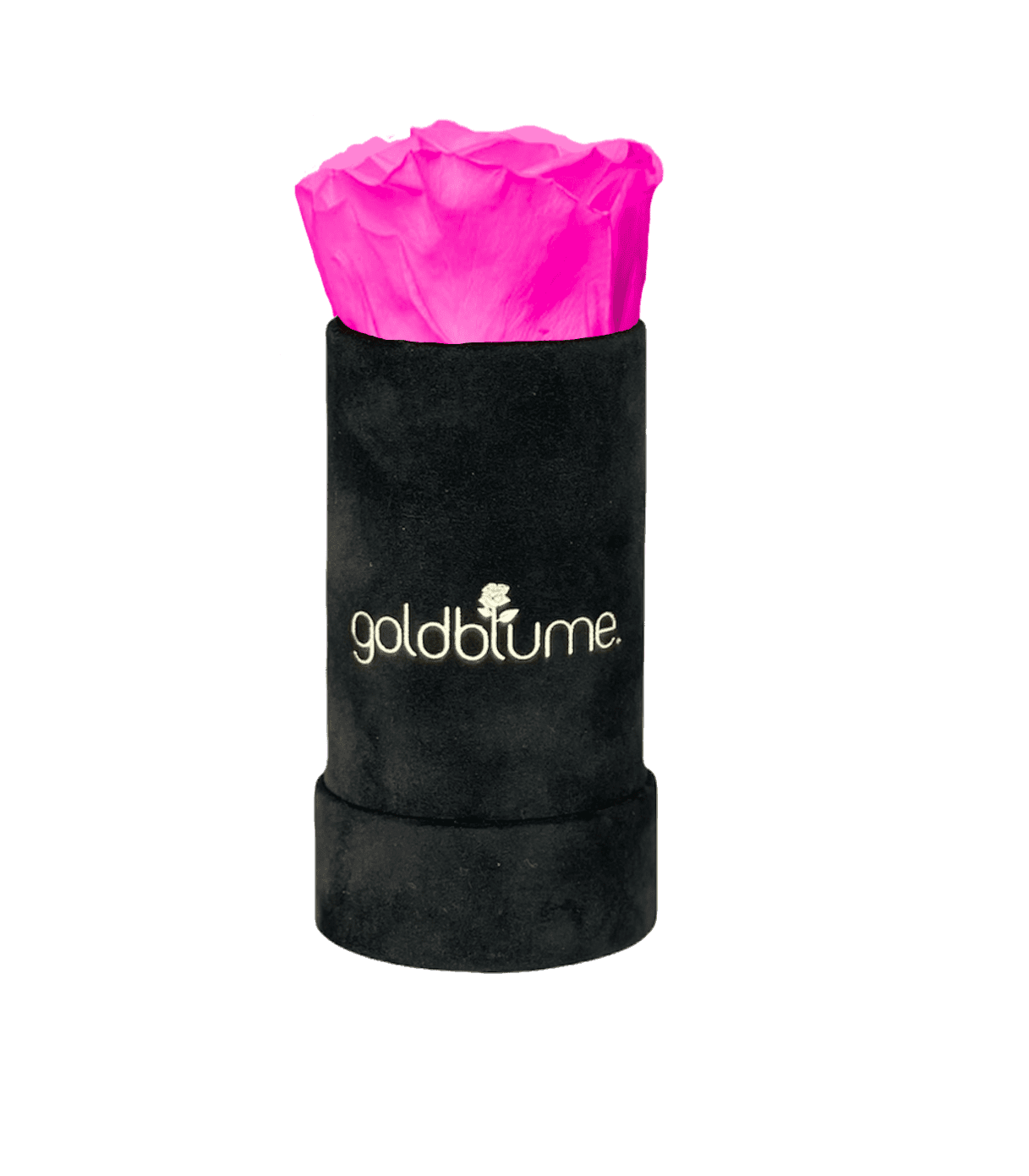Velvet Black Collection - Goldblume