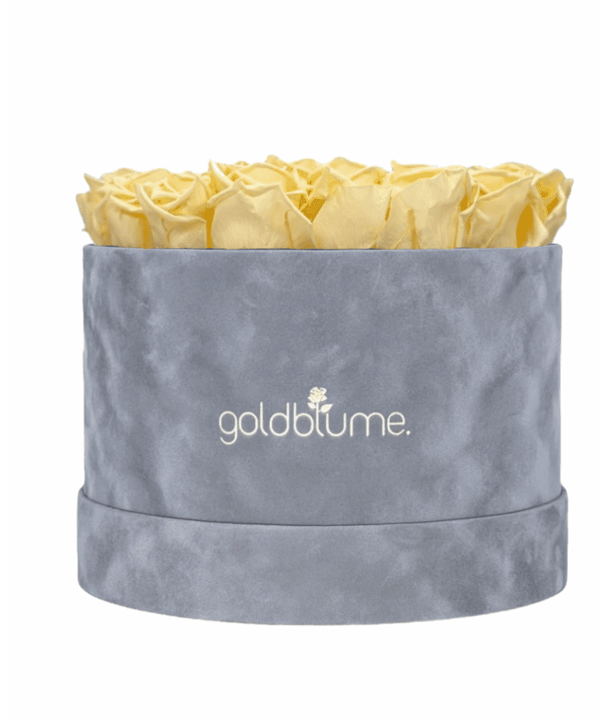 Velvet Grey Collection - Goldblume