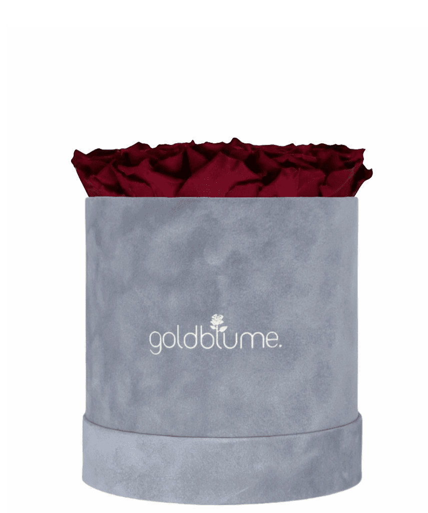 Velvet Grey Collection - Goldblume