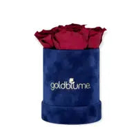 Velvet Royal Collection - Goldblume