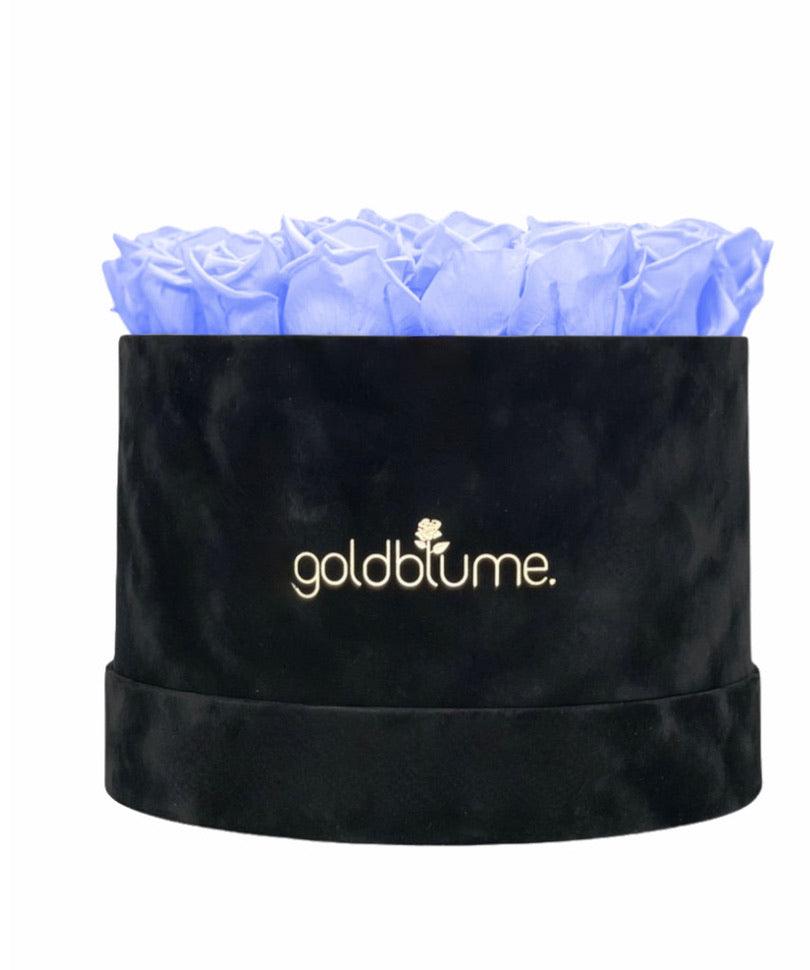 Velvet Black Collection - Goldblume