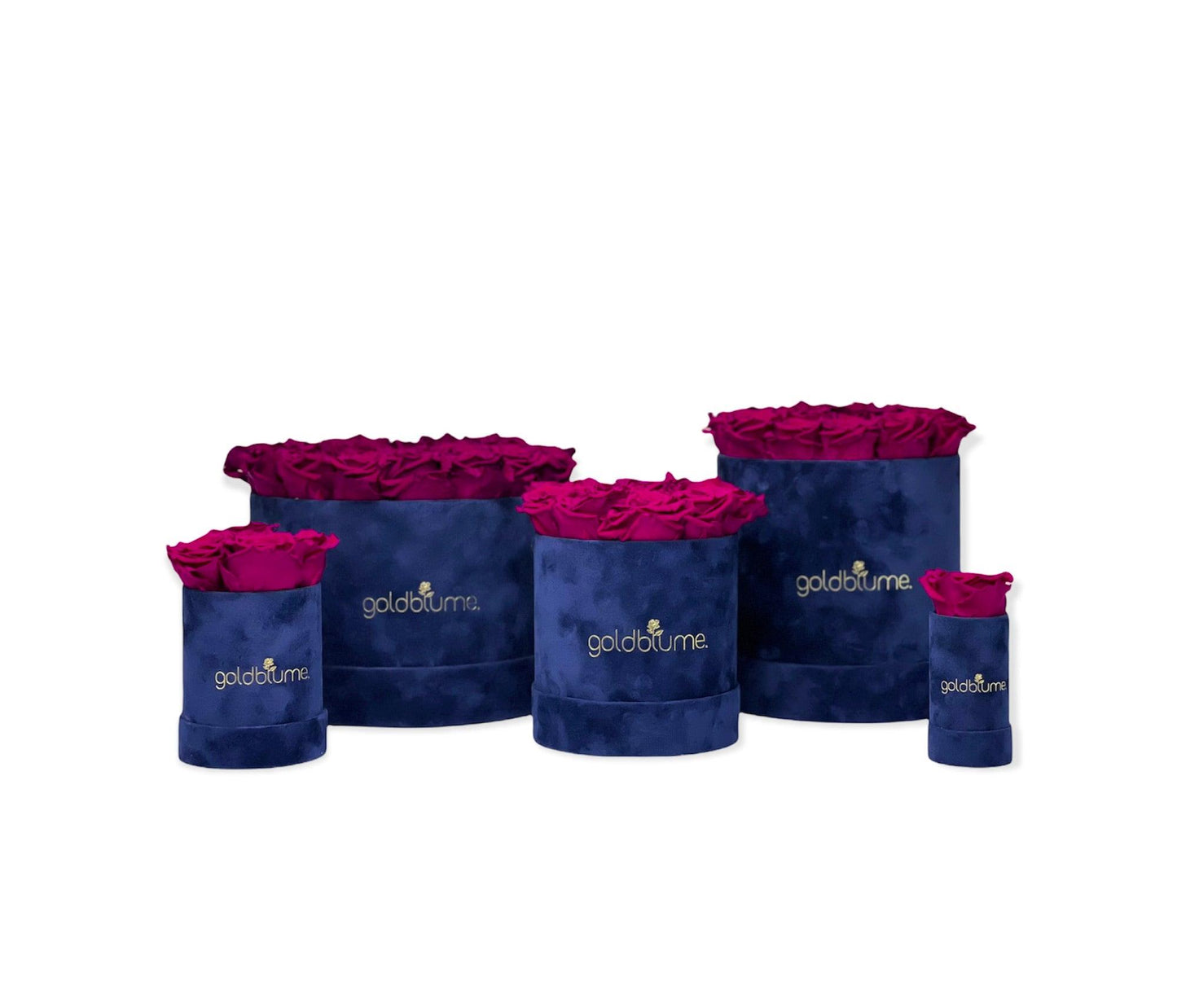 Velvet Royal Collection - Goldblume