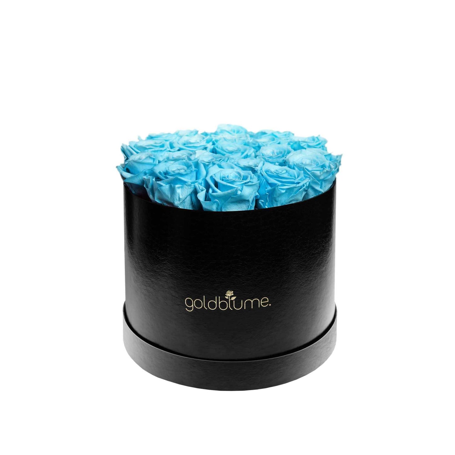 Die Klassische Large - Goldblume