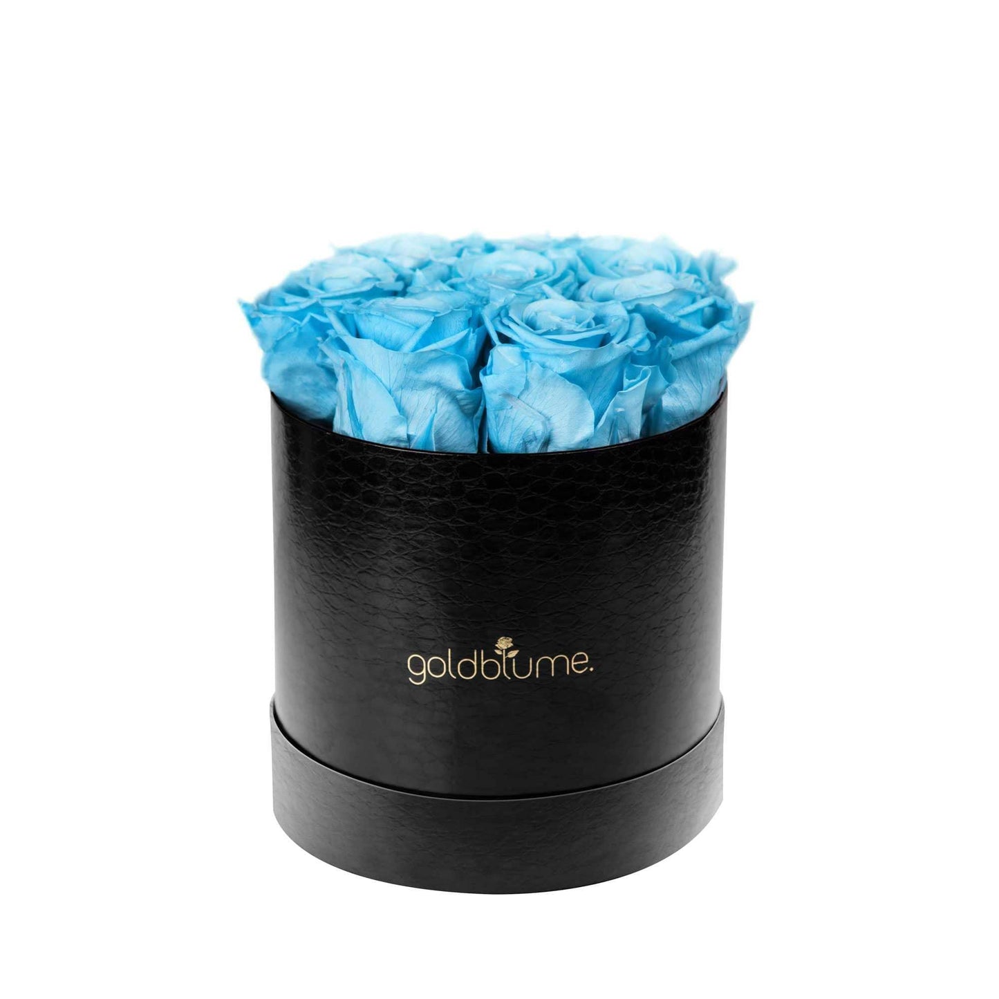 Die Klassische Medium - Goldblume