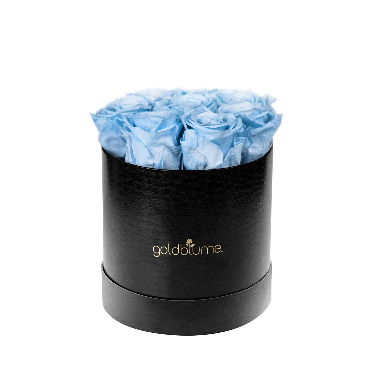 Die Klassische Medium - Goldblume