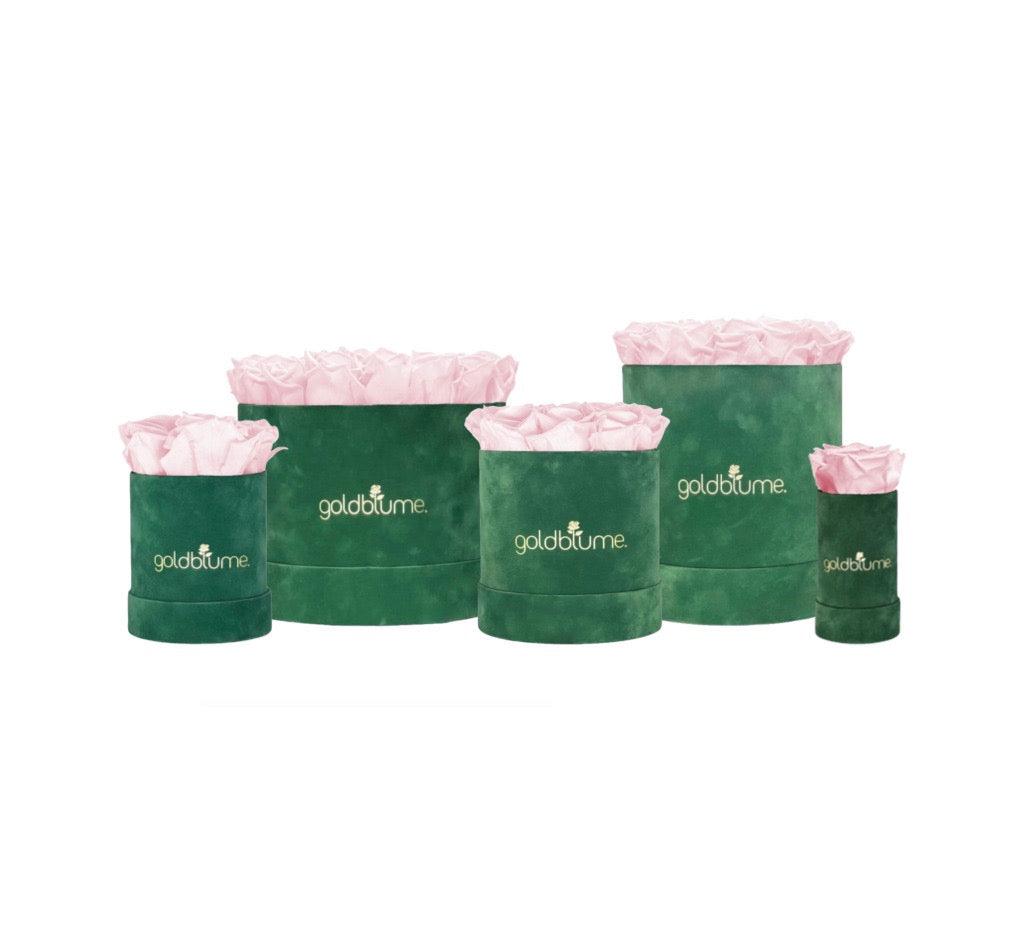 Velvet Green Collection - Goldblume