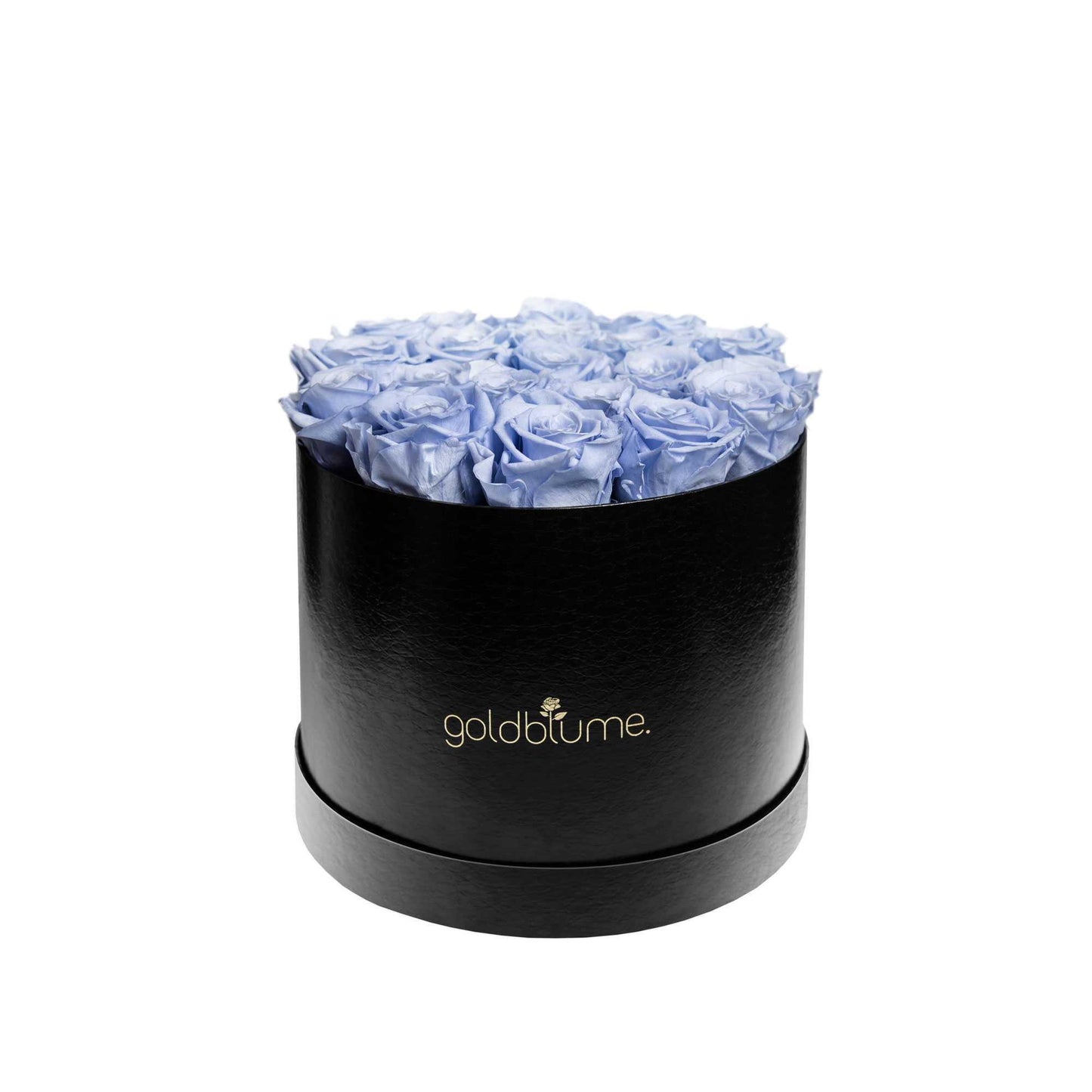 Die Klassische Large - Goldblume