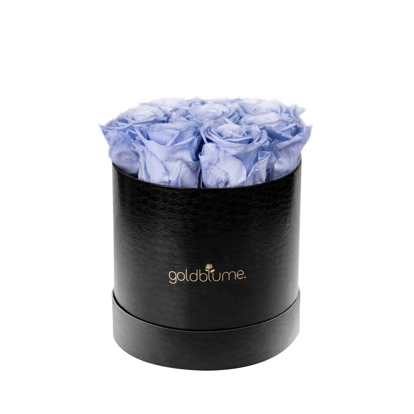 Die Klassische Medium - Goldblume