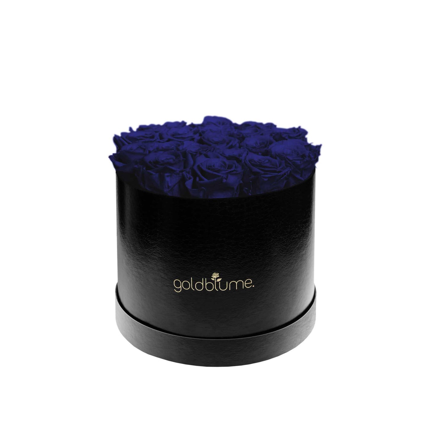 Die Klassische Large - Goldblume