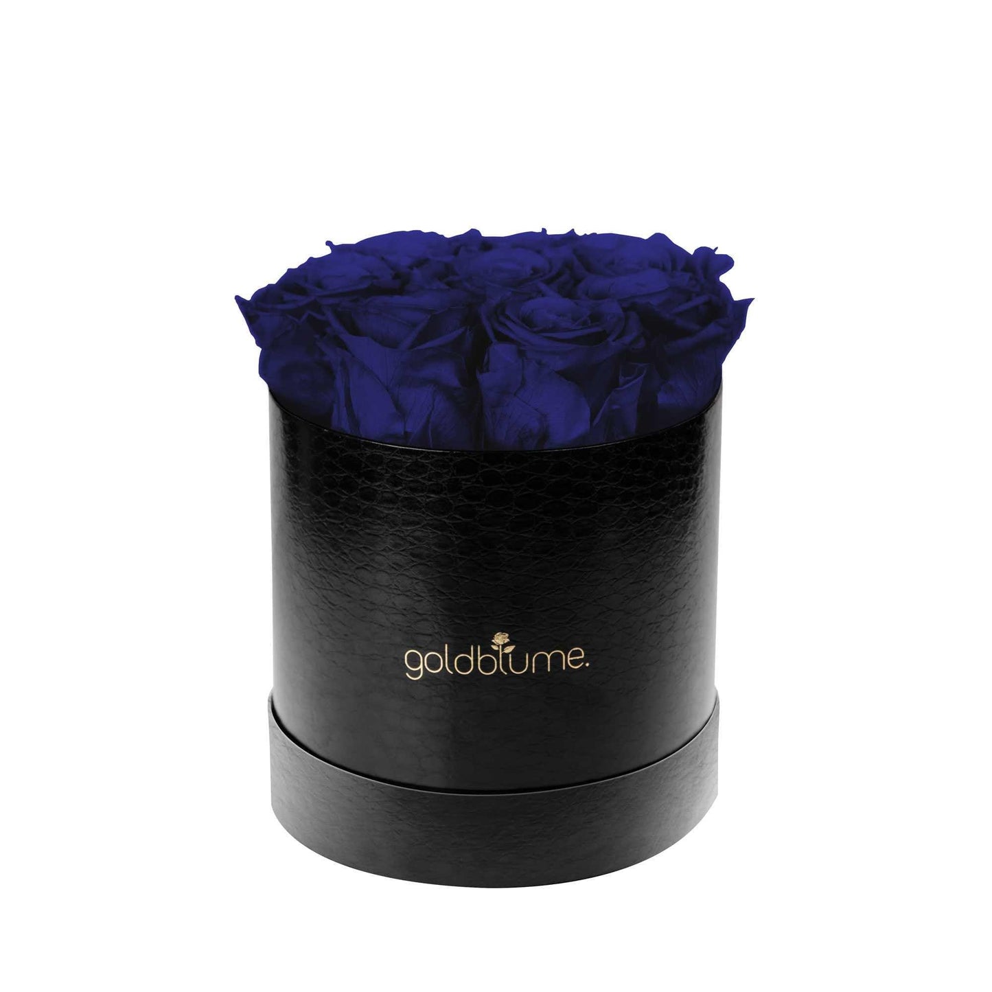 Die Klassische Medium - Goldblume
