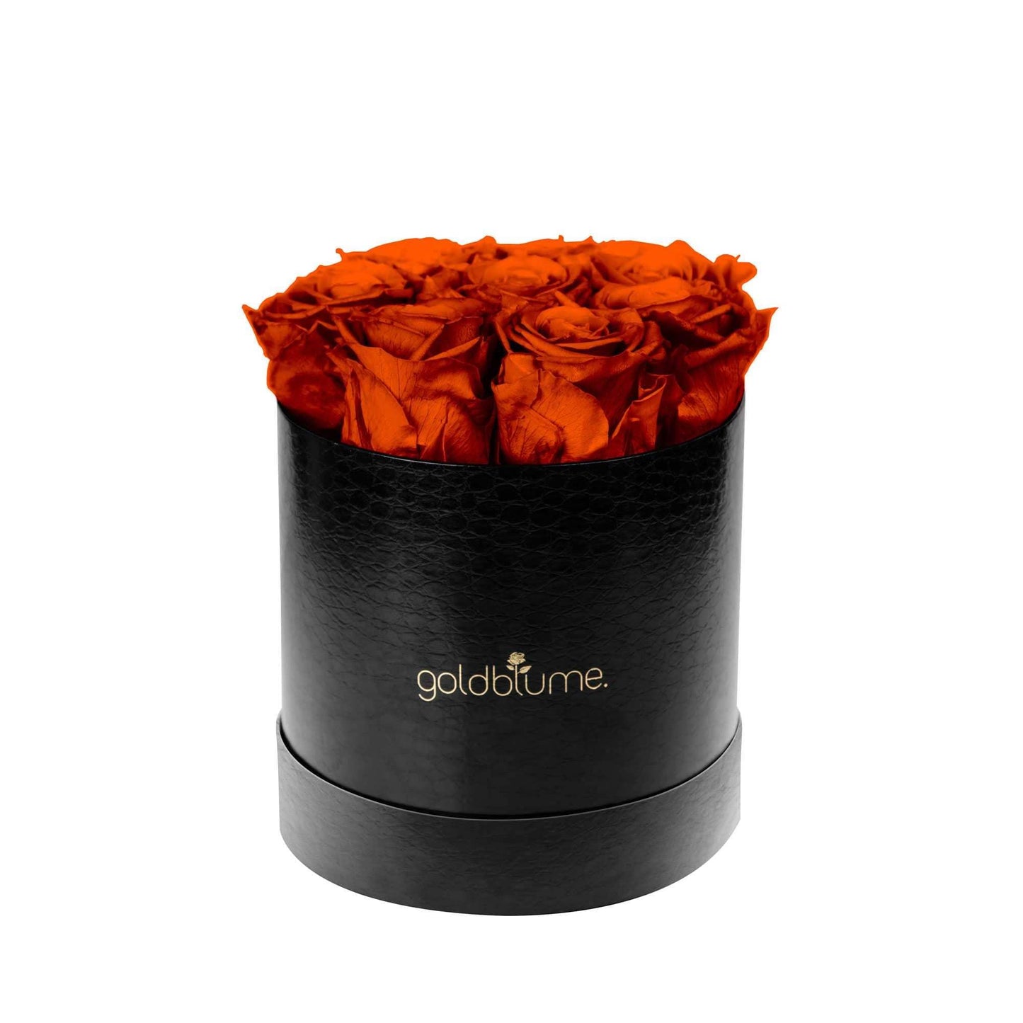Die Klassische Medium - Goldblume