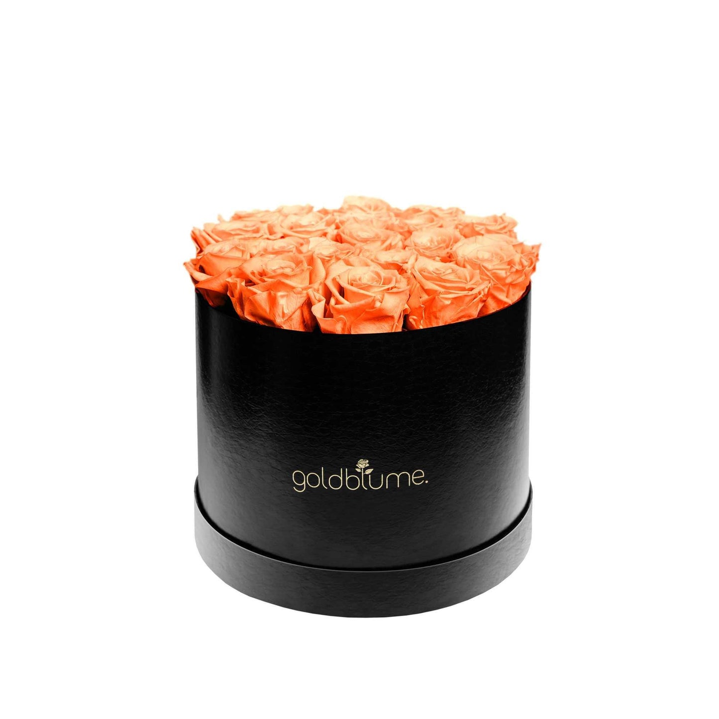 Die Klassische Large - Goldblume