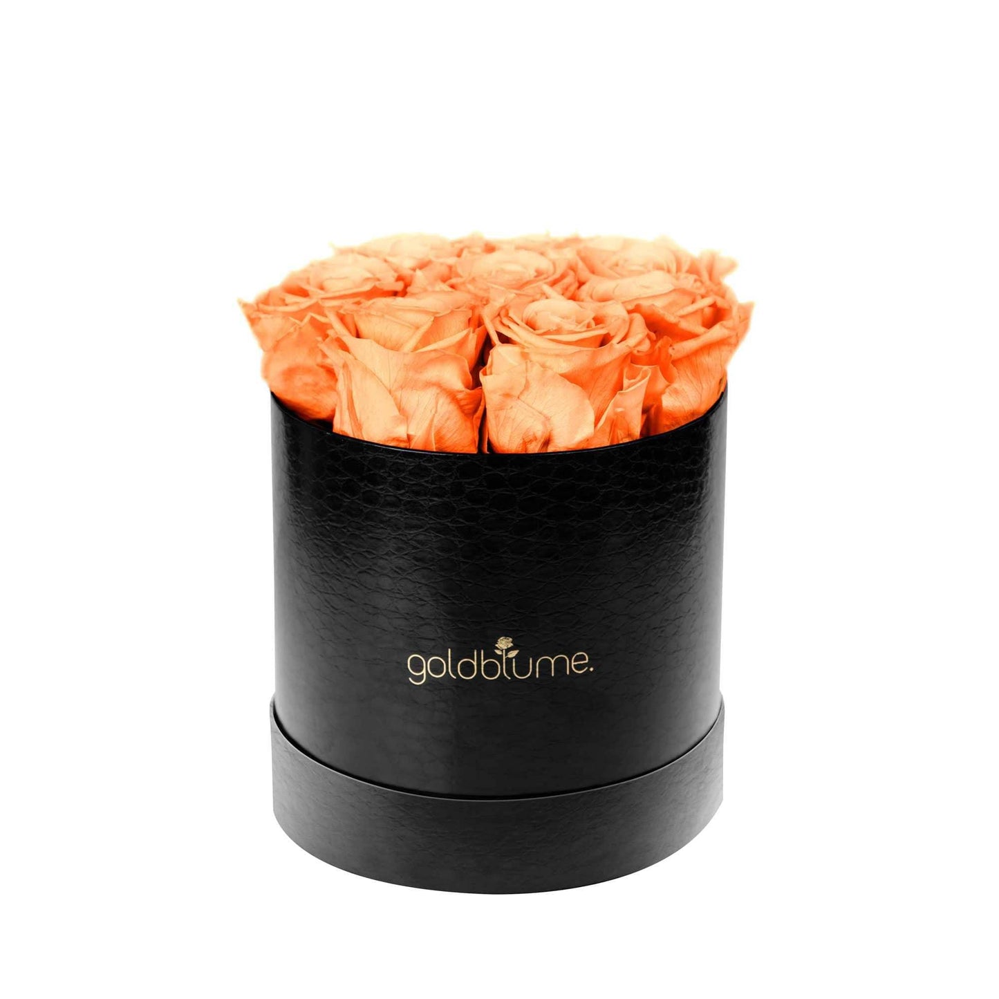 Die Klassische Medium - Goldblume