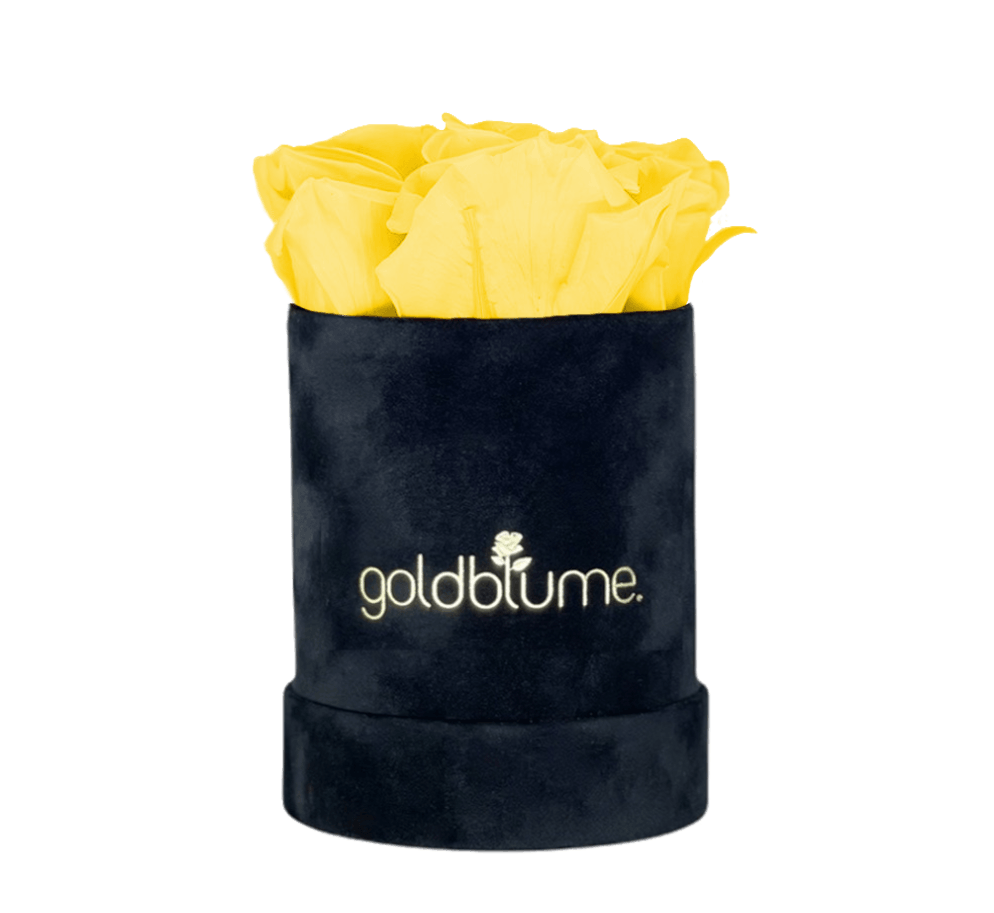 Velvet Black Collection - Goldblume 
