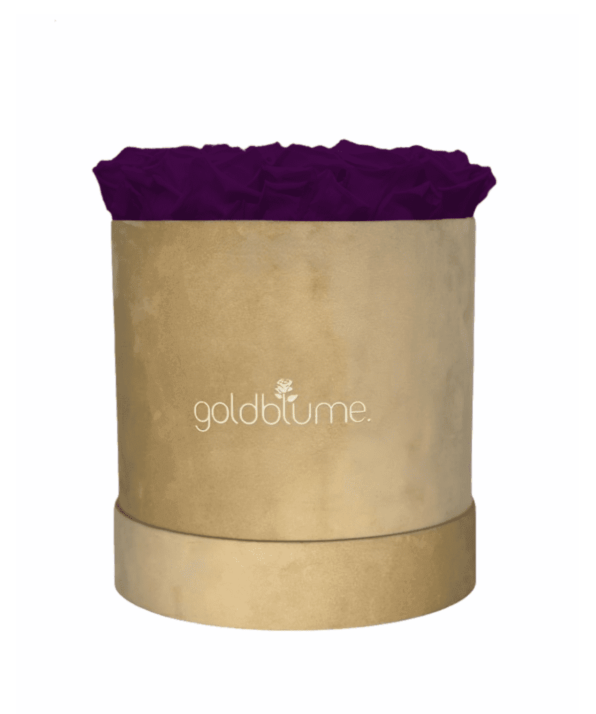 Velvet Beige Collection - Goldblume 