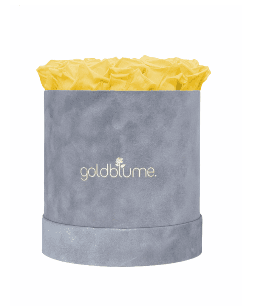 Velvet Grey Collection - Goldblume 
